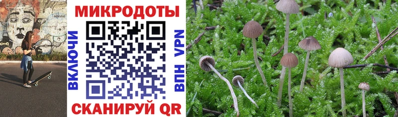 Псилоцибиновые грибы Psilocybe  где продают наркотики  Тихвин 
